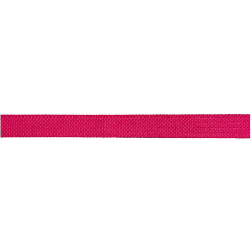 Rico Design Gurtband 25mm 2m pink von Rico Design