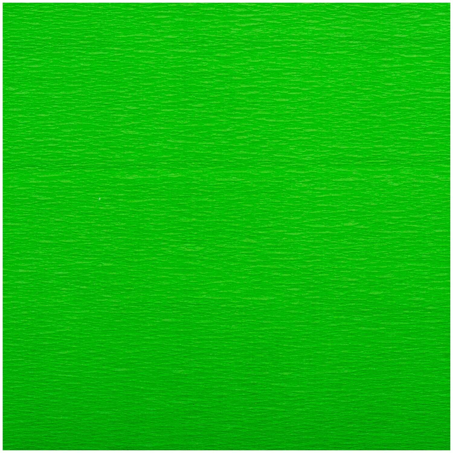 Rico Design Krepp-Papier 50x250cm grün Rico Design Krepp-Papier 50x250cm grün von Rico Design