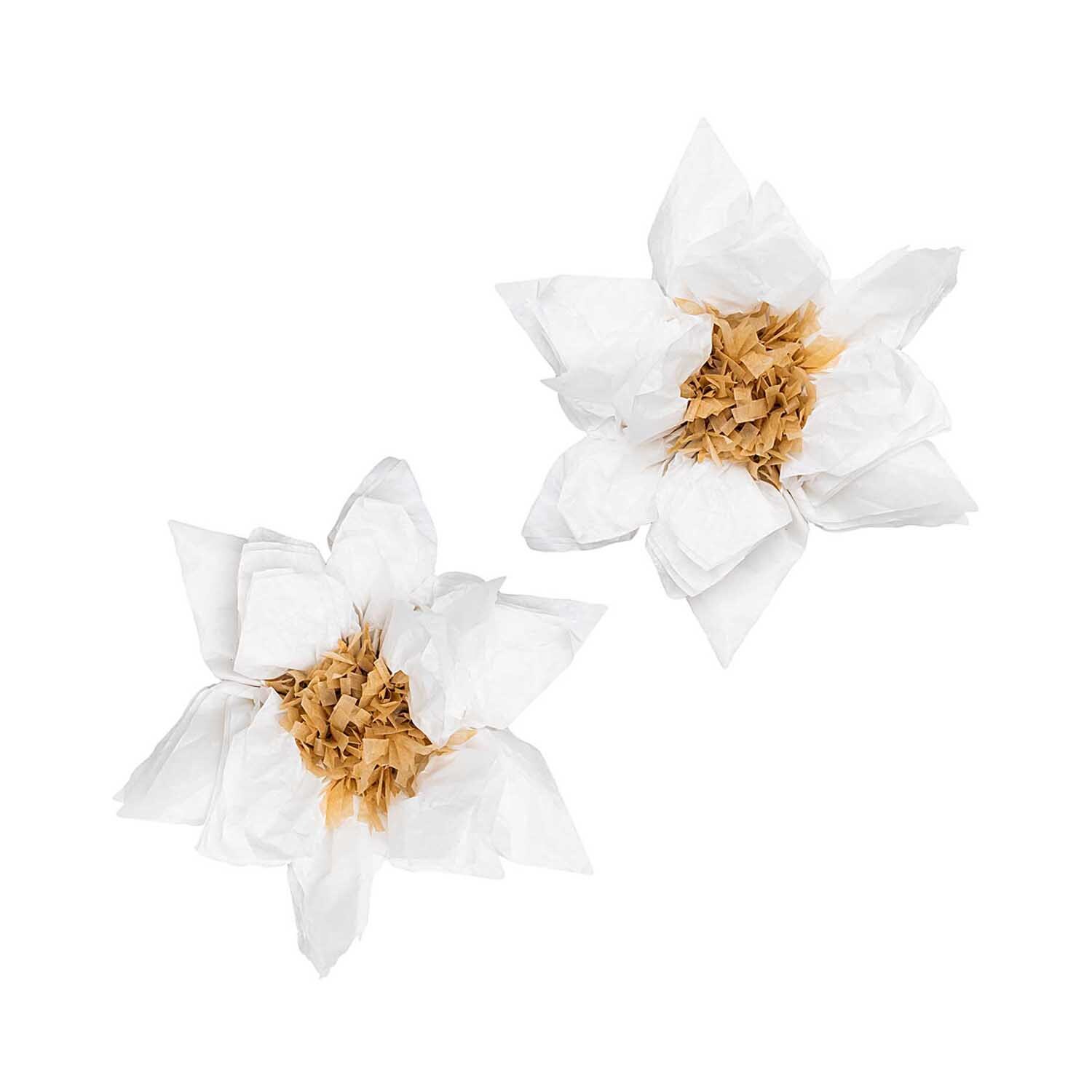 Seidenpapierblumen Weihnachtsstern 25cm 2 Stück Seidenpapierblumen Weihnachtsstern 25cm 2 Stück von Rico Design