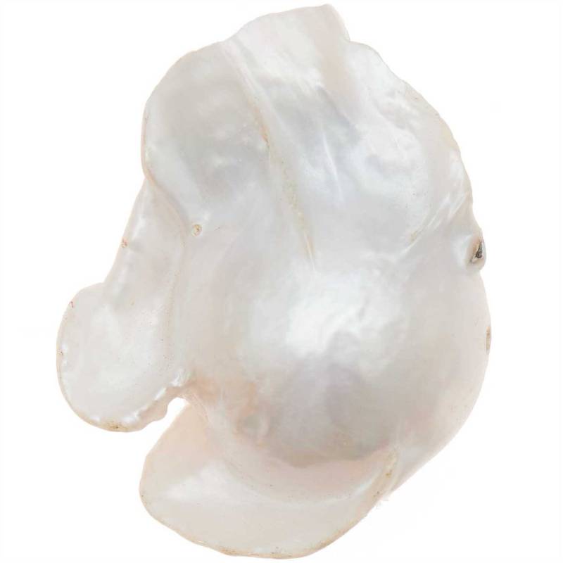 Rico Design itoshii Süßwasserperle natur barock 28x16x12mm 1 Stück Rico Design itoshii Süßwasserperle natur barock 28x16x12mm 1 Stück von Rico Design