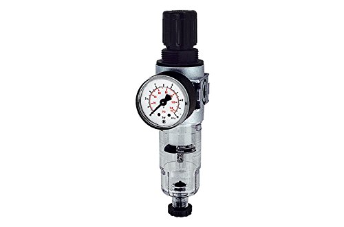 RIEGLER 100354-C 06-K10-HA Filterregler »multifix-mini«, mit PC-Behälter, G 1/4, 0,5-10 bar, 1Stk von Riegler