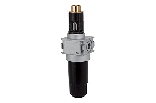 RIEGLER 100390-L 06 M Nebelöler »multifix-mini«, mit Metallbehälter, BG 0, G 1/4, 1Stk RIEGLER 100390-L 06 M Nebelöler »multifix-mini«, mit Metallbehälter, BG 0, G 1/4, 1Stk von Riegler