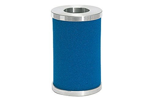 RIEGLER 101604-430/6 Filterelement, für Mikrofilter, G 3/4, 1Stk RIEGLER 101604-430/6 Filterelement, für Mikrofilter, G 3/4, 1Stk von Riegler