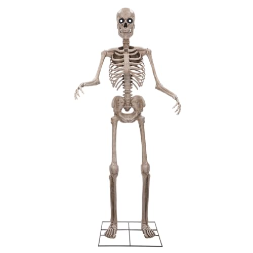 Riethmüller Animatronic XXL Skelett 243 cm - Halloween Deko innen - Party, Gothic Figur lebensgroß - Animiert, LED-Augen, beweglicher Kiefer, Sound & Bewegungssensor - 3 Sprachen Riethmüller Animatronic XXL Skelett 243 cm - Halloween Deko innen - Party, Gothic Figur lebensgroß - Animiert, LED-Augen, beweglicher Kiefer, Sound & Bewegungssensor - 3 Sprachen von Riethmüller