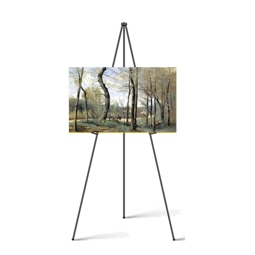160cm Faltbar Künstler Staffelei Stand,Verstellbares Stativ Tisch Kunst Leinwand Malerei Display, Tragbar Staffelei Ständer für Hochzeitsschild,Poster, Malerei 160cm Faltbar Künstler Staffelei Stand,Verstellbares Stativ Tisch Kunst Leinwand Malerei Display, Tragbar Staffelei Ständer für Hochzeitsschild,Poster, Malerei von Rigogo