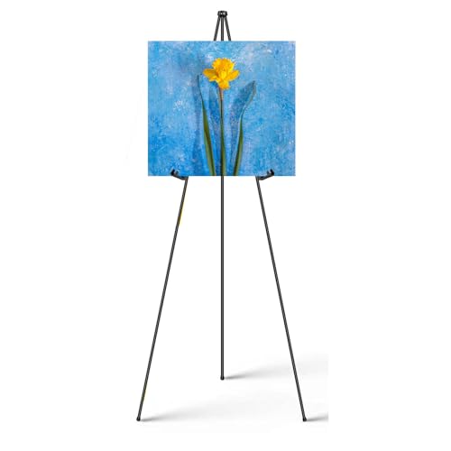 160cm Staffelei Klappbare Stativ Verstellbare Höhe, zusammenklappbare Staffelei Stand für Hochzeit Zeichen, Ausstellung, Malerei, Willkommensschild 160cm Staffelei Klappbare Stativ Verstellbare Höhe, zusammenklappbare Staffelei Stand für Hochzeit Zeichen, Ausstellung, Malerei, Willkommensschild von Rigogo