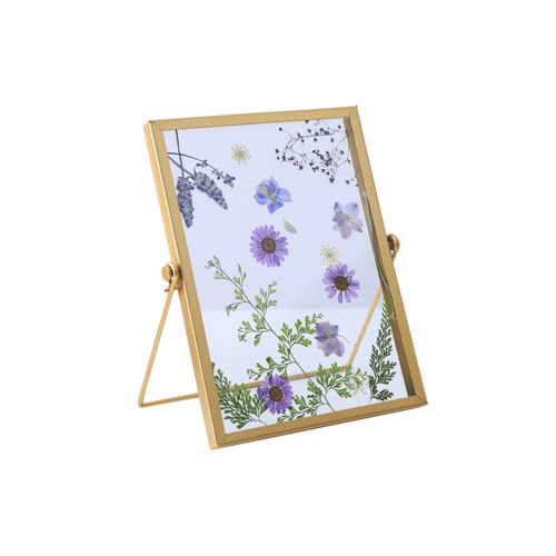 Glas-Fotorahmen, gepresste Blumenrahmen, Doppelglas-Schwebrahmen, ausziehbarer Staffelei-Ständer, 10.2x15.2 cm oder 12.7x17.8 cm Foto-Display für Fotos, Kunst (Gold) von Rikyo