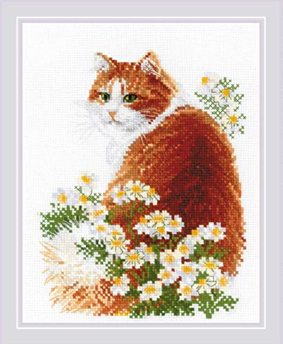 Riolis Kreuzstich Set "Ingwer Miau", Zählmuster, 24x30cm von Riolis