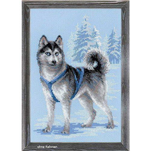 RIOLIS Der Schlittenhund Husky Kreuzstichpackung, Baumwolle, Mehrfarbig, 26 x 38 x 0,1 cm von Riolis