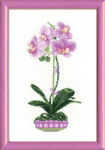 RIOLIS Stickpackung - Orchidee von Riolis