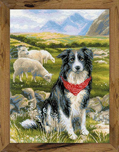 Riolis Kreuzstichset "Border Collie", Zählmuster Riolis Kreuzstichset "Border Collie", Zählmuster von Riolis