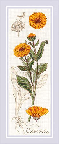 Riolis 1798 Kreuzstichpackung Calendula, Zählmuster Kreuzstich-Set, Baumwolle, mehrfarbig, 1030cm Riolis 1798 Kreuzstichpackung Calendula, Zählmuster Kreuzstich-Set, Baumwolle, mehrfarbig, 1030cm von Riolis