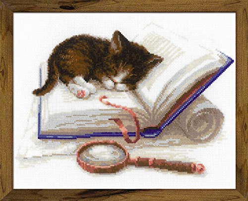 Riolis Kätzchen auf dem Buch Kreuzstich-Set, Baumwolle, Mehrfarbig, 30 x 24 cm von Riolis
