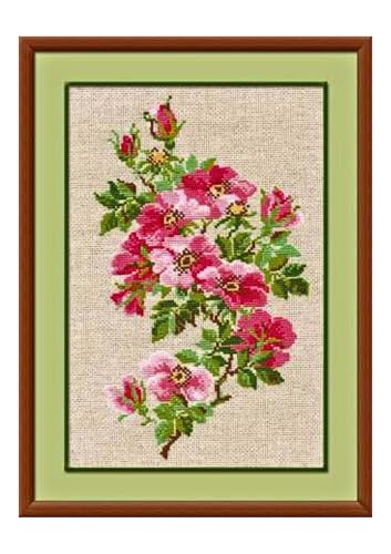 Riolis Kreuzstich-Set, Motiv: Mai Wild Rose, Multi Color, Kreuzstich, Mittel Riolis Kreuzstich-Set, Motiv: Mai Wild Rose, Multi Color, Kreuzstich, Mittel von Riolis