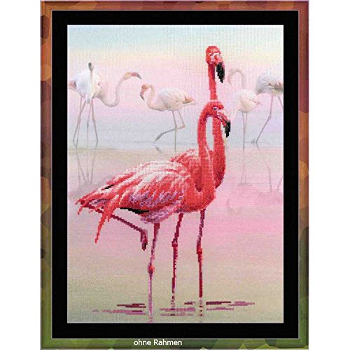 Riolis Kreuzstich-Set Flamingo, Baumwolle, Mehrfarbig, 30 x 40 x 0.1 cm von Riolis