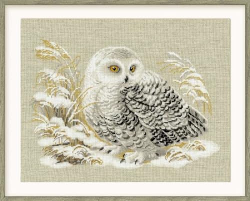 Riolis R1241 Stickpackung - Weisse Eule - White Owl, c1 von Riolis