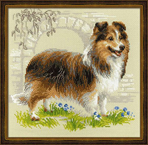 Riolis Sheltie Hund Kreuzstich-Set, Baumwolle, Mehrfarbig, 25 x 25 x 0.1 cm von Riolis