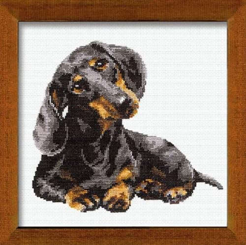 RIOLIS Kreuzstich-Set, Acryl Baumwolle, Mehrfarbig, Dachshund RIOLIS Kreuzstich-Set, Acryl Baumwolle, Mehrfarbig, Dachshund von Riolis