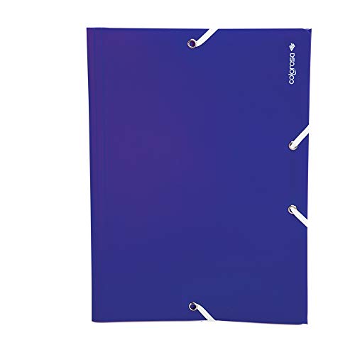 RI.PLAST 89355 Colorosa Mappe aus PP, verschiedene Farben, A4 RI.PLAST 89355 Colorosa Mappe aus PP, verschiedene Farben, A4 von Riplast