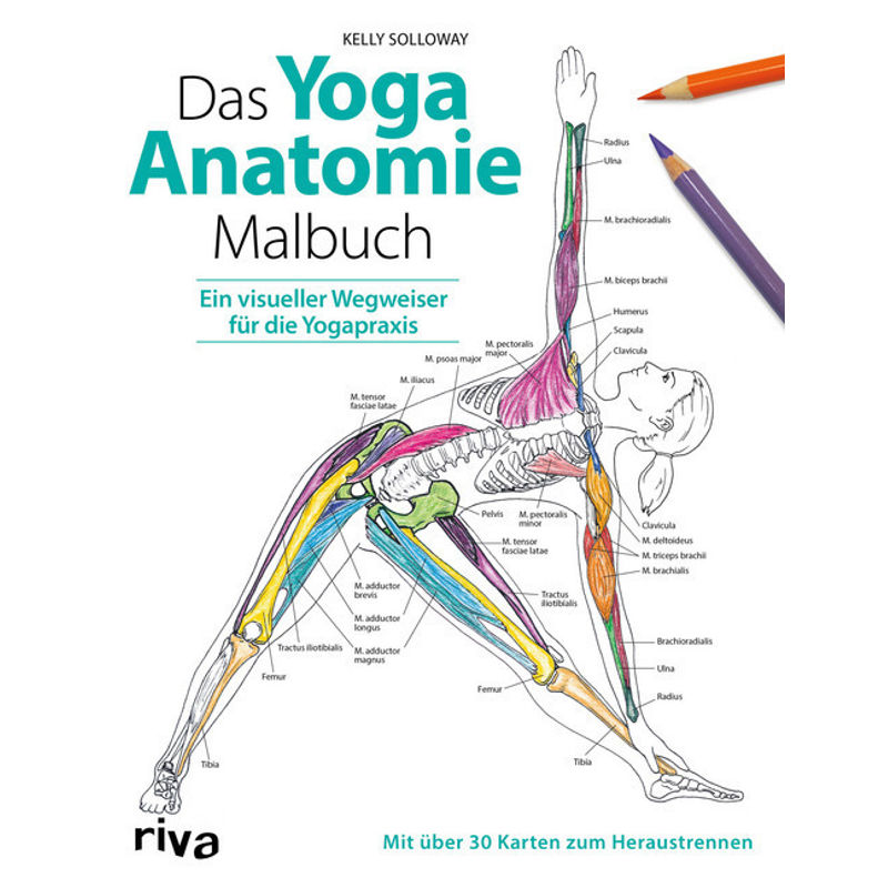 Das Yoga-Anatomie-Malbuch - Kelly Solloway, Samantha Stutzman, Kartoniert (TB) von Riva