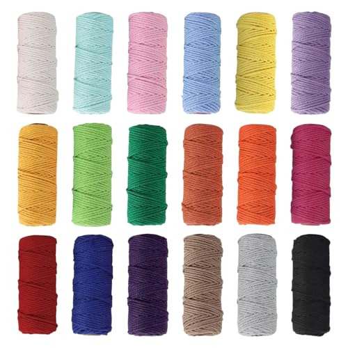 18 Stück Baumwollschnur, Makramee Garn Set 2 mm x 30 m, Baumwollseil Baumwollschnur Macrame Garn für DIY Handwerk Basteln Stricken Boho Deko Wandbehang Dekoration Wohnzimmer Balkon Schlafzimmer von Rixotix