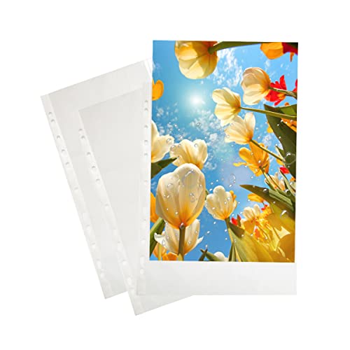 Prospekthüllen A4 Glasklar, Rluobo 80 Stück Prospekthülle, glatt, Transparente A4 Tasche Prospekthüllen A4 Glasklar, Rluobo 80 Stück Prospekthülle, glatt, Transparente A4 Tasche von Rluobo