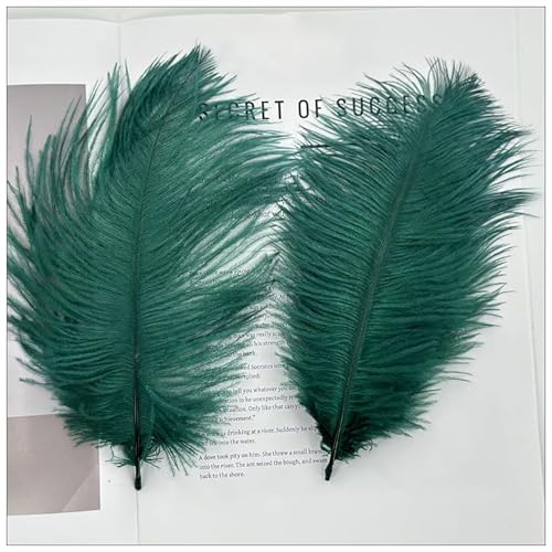 Rockreyoa Straußenfedern 20-25cm Bunte Federn Natürliche Federn Flauschig Bastelfedern Handwerksfedern Farbige Federn Basteln zum Federn für DIY Party Hochzeit Zuhause Dekor Dunkelgrün 10 Stück von Rockreyoa