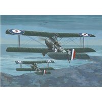 Sopwith 1 1/2 Strutter Comic Fighter von Roden