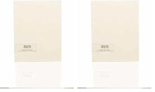 Rössler Papier 1321000008 - S.O.H.O. Fotokarton Chamois, Papierstärke 300 g/m², für 4-Ring-Mechanik, 20 Blatt (Packung mit 2) von Rössler Papier