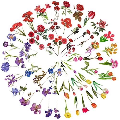 RoserRose 120 Stück Sticker Blumen, Blumen Sticker, Aufkleber Blumen, Blumensticker, Blumen Aufkleber, PET Blumen Aufkleber Pflanzen Sticker, FüR Scrapbook Fotoalbum Sammelalbum Laptops Handwerk von RoserRose