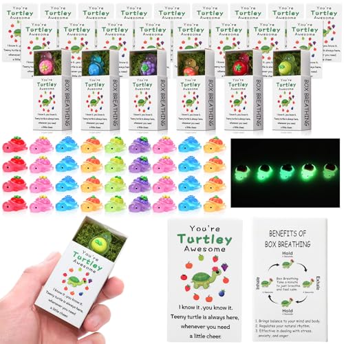 RoundFunny 36 Sets Mitarbeiter-Wertschätzungsgeschenke, Großpackung "You're Turtley", inspirierend, Dankeschön, Harz, Schildkröte, Partygeschenke für Mitarbeiter, Kollegen, Lehrer RoundFunny 36 Sets Mitarbeiter-Wertschätzungsgeschenke, Großpackung "You're Turtley", inspirierend, Dankeschön, Harz, Schildkröte, Partygeschenke für Mitarbeiter, Kollegen, Lehrer von RoundFunny
