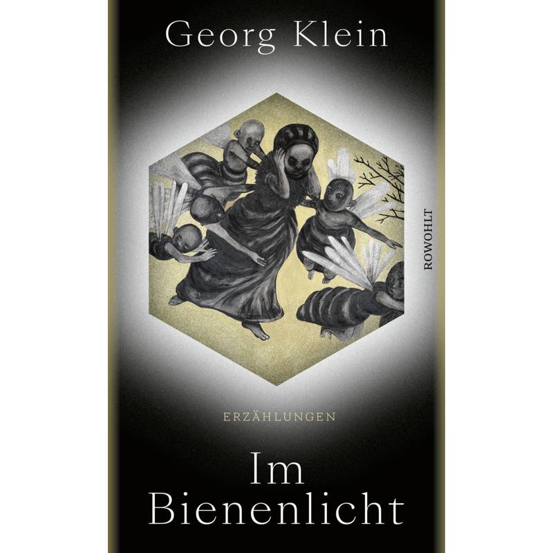 Im Bienenlicht - Georg Klein, Gebunden von Rowohlt, Hamburg