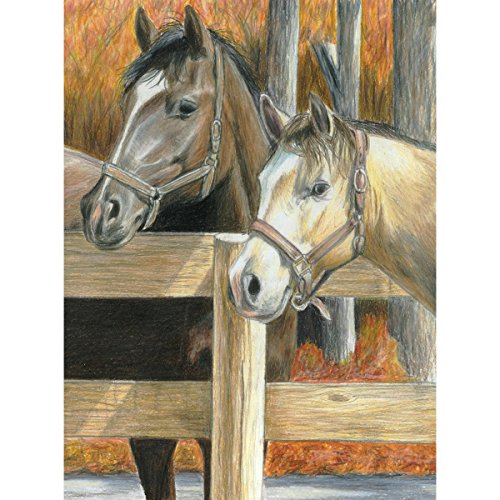 Royal Brush Farbstift-nach-Zahlen-Set, 22,6 x 29,5 cm, Buck's Pal von Royal Brush