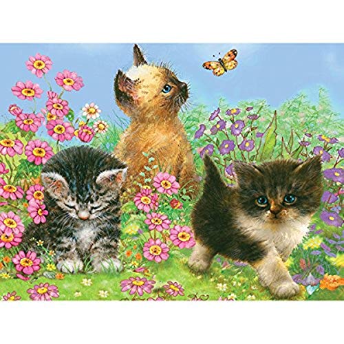 Royal Brush cpn14 Bleistift von Nummer-Set, Mehrfarbig, 8,75 x 11.75-inch von Royal Brush