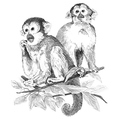 Royal & Langnickel Monkeys A4 Skizzieren leicht gemacht Kunstprojekt-Kit von Royal Brush
