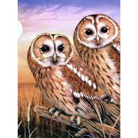 Malen nach Zahlen "Tawny Owls", 22 x 30 cm von Multi