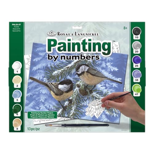 Royal & Langnickel Paint by Number - Juego de pintura (27,9 x 38,1 cm), diseño de pájaros Royal & Langnickel Paint by Number - Juego de pintura (27,9 x 38,1 cm), diseño de pájaros von Royal & Langnickel