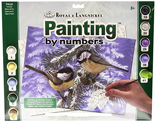 Royal & Langnickel Paint by Number - Juego de pintura (27,9 x 38,1 cm), diseño de pájaros von Royal & Langnickel