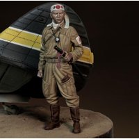 Japanese pilot WWII Japanese pilot WWII von Royal Model