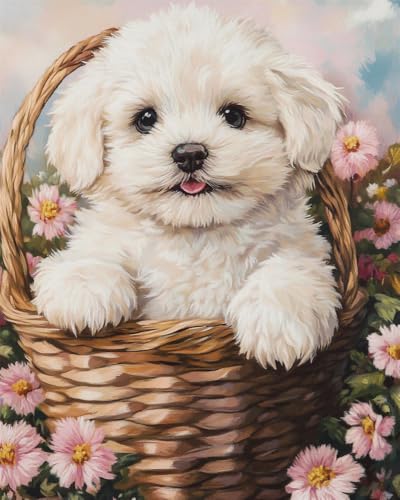 Kreuzstich Stickpackungen Vorgedruckt Set Erwachsene,Bichon Frisé 14Ct 40X50Cm Stickvorlagen Stickbilder Vorgedruckt Kreuzstich Stickpackung Sticken Stickbild Set Für Erwachsene Anfänger, Cr Kreuzstich Stickpackungen Vorgedruckt Set Erwachsene,Bichon Frisé 14Ct 40X50Cm Stickvorlagen Stickbilder Vorgedruckt Kreuzstich Stickpackung Sticken Stickbild Set Für Erwachsene Anfänger, Cr von Rqwybcaxn