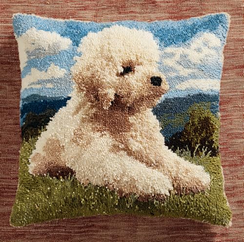 Rqwybcaxn Diy Kissen Knüpfen Set Pudel Auf Dem Gras Knüpfhaken-Sets,Knüpfhaken-Sets,Kissenbezug,Sofakissen,Anfänger,Diy,Basteln,Heimdekoration 43X43Cm von Rqwybcaxn