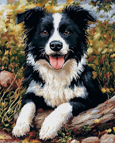 Rqwybcaxn Diy Vorgedruckt Stickbilder Stickset 14Ct,Border Collie Einfaches Lächeln Kreuzstich Stickpackung Handwerk Home Decor Starter-Set Für Wandkunst Rqwybcaxn Diy Vorgedruckt Stickbilder Stickset 14Ct,Border Collie Einfaches Lächeln Kreuzstich Stickpackung Handwerk Home Decor Starter-Set Für Wandkunst von Rqwybcaxn