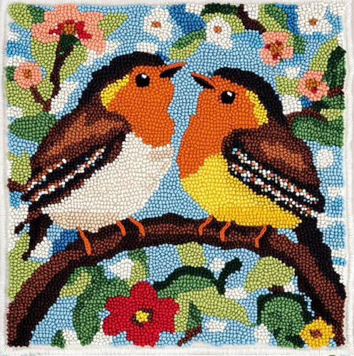Rqwybcaxn Knüpfteppich Zum Selber Knüpf-Sets Mit Kissen Knüpfen,Paar Robin Blumenmuster,Set 43X43Cm Kissenbezug-Set Für Erwachsene Und Kinder Latch Hook Kit Heimaccessoire von Rqwybcaxn