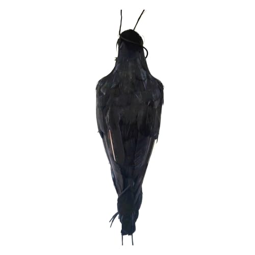 Rrlihjgu Crow Abschreckungsmittel Crow Dekoy Realistische Hängende Tote Krähe Schwarz Gefiedert Feder Hängende Tote Krähen Lebensize Falsche Schwarze Gefiederte Krähen Für Halloween 44 * 13 * 10 cm von Rrlihjgu
