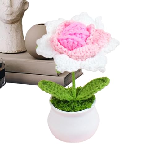 Rrlihjgu Häkelblumen, gehäkelte Blumen, handgestrickte Blumen, gehäkelte Rosen, niedliche Autodekoration, Blumendekoration für den Schreibtisch Rrlihjgu Häkelblumen, gehäkelte Blumen, handgestrickte Blumen, gehäkelte Rosen, niedliche Autodekoration, Blumendekoration für den Schreibtisch von Rrlihjgu