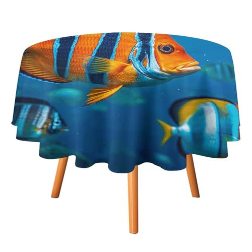 Rrtsmsgh Fisch-Tischdecke, knitterfrei, strapazierfähig, dekorativ, leicht zu reinigen, waschbar, runde Tischdecke für Küche, Esszimmer, Party, Hochzeit, 127 x 127 cm von Rrtsmsgh