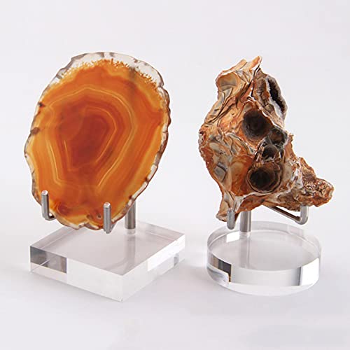Rubeyul Acryl-Staffelei-Halter Haltbarer Display Stand Sammlerstücke Steinhalter Für Fossilien,Mineralien, Felsen, Geode, Achat, Kristalle,Seltsame Steine Rubeyul Acryl-Staffelei-Halter Haltbarer Display Stand Sammlerstücke Steinhalter Für Fossilien,Mineralien, Felsen, Geode, Achat, Kristalle,Seltsame Steine von Rubeyul