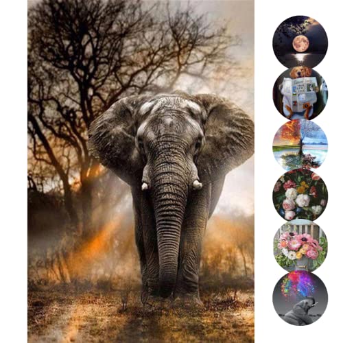 Rubye Diamond Painting Erwachsene Kinder [Elefant] - Diamond Painting Bilder - Diamant Painting - DIY Bilder - Full Diamant Bilder Set – Wall, Room, Home Decoration (30 cm x 40 cm) von Rubye