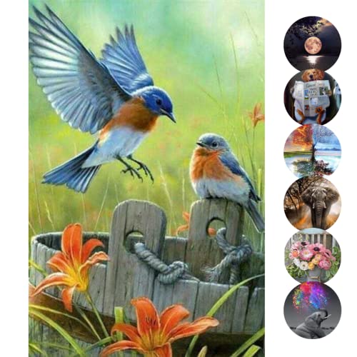 Rubye Diamond Painting Erwachsene Kinder [Vogels und Blumen Groß] - Diamond Painting Bilder - Diamant Painting - DIY Bilder - Full Diamant Bilder Set – Wall, Room, Home Decoration (40 cm x 50 cm) von Rubye