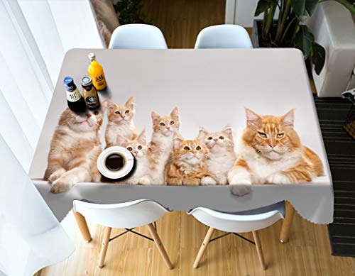 Rubyia Tischdecke Quadratisch, Fleckgeschützte Table Cloth Katzen Familie Gemustert, Polyester, Braun Weiß, 85 x 85 cm von Rubyia